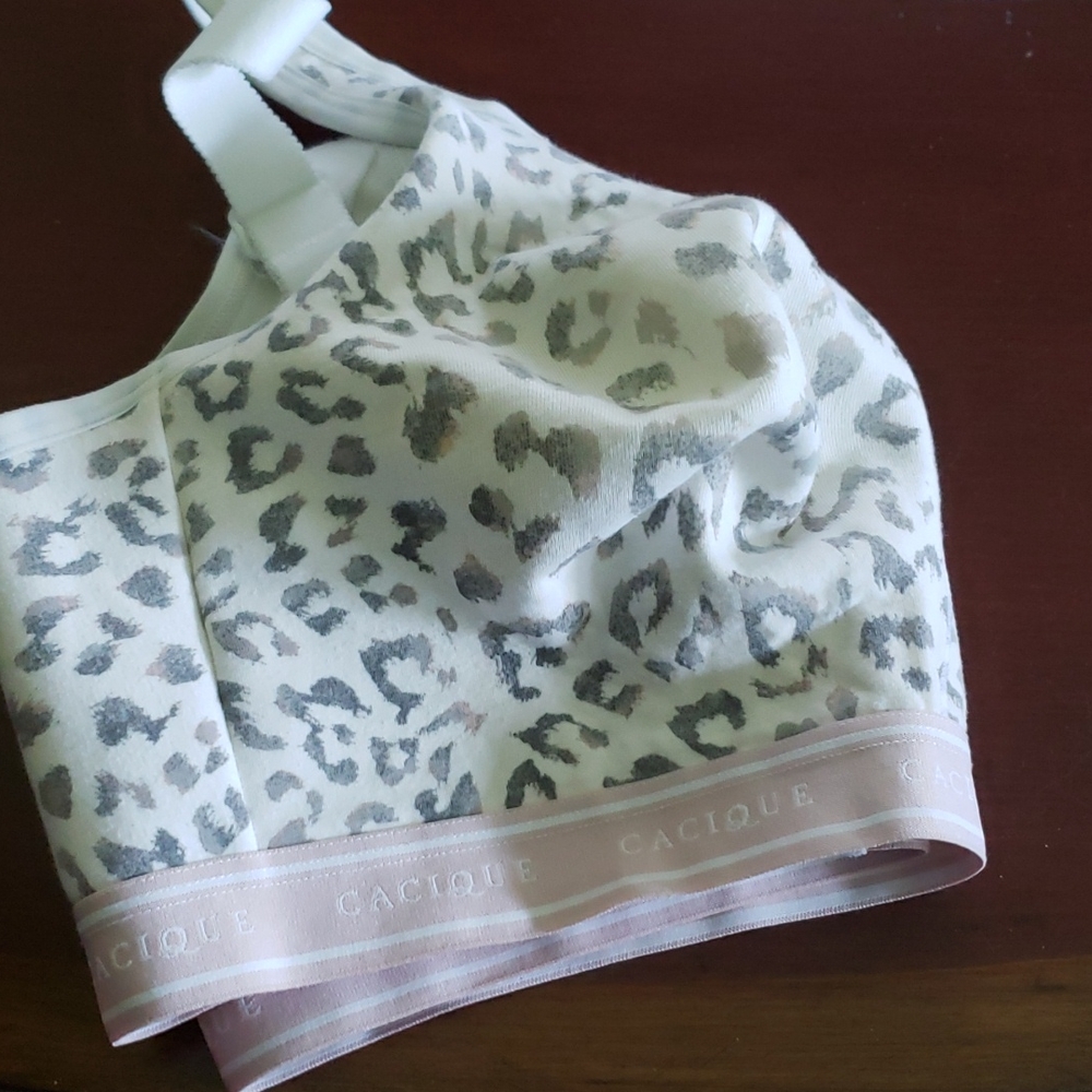 Cacique Animal print cotton bra.